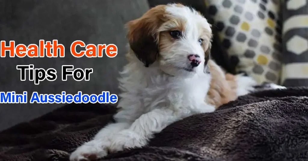 Health Care for Your Puppy 