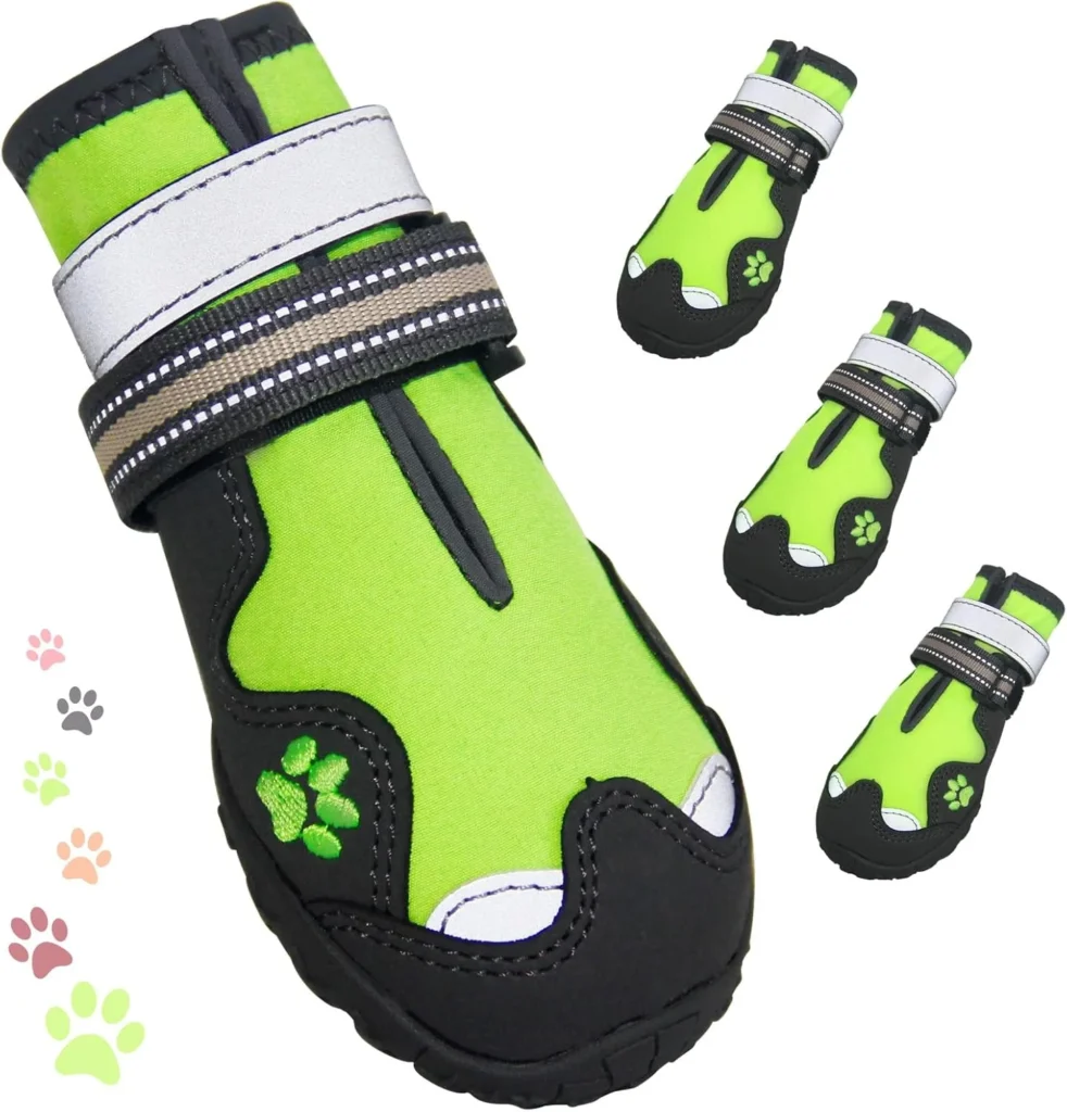 dog shoes