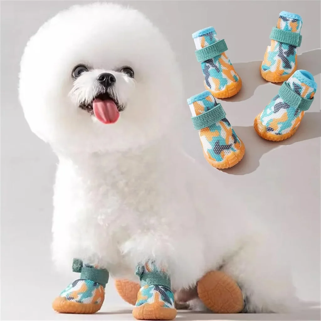 dog shoes