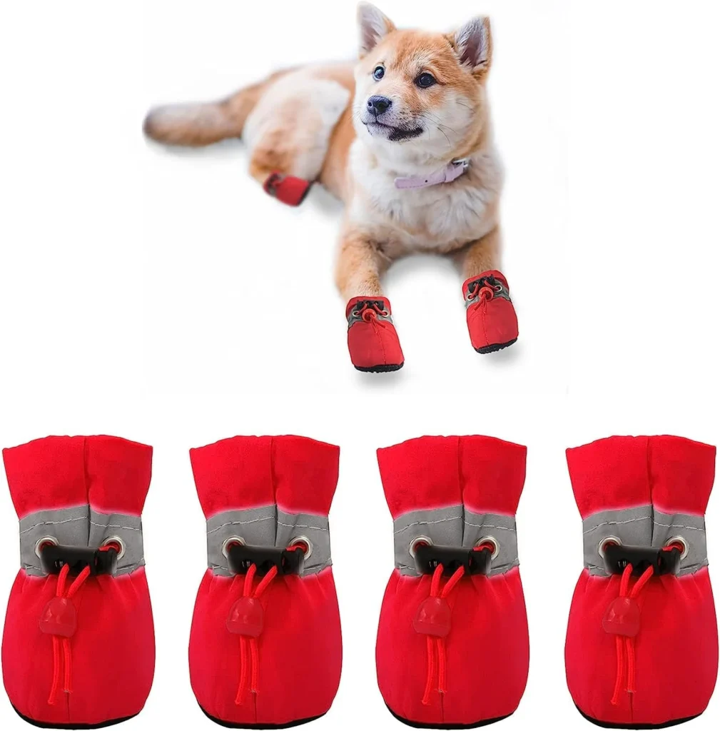 dog shoes