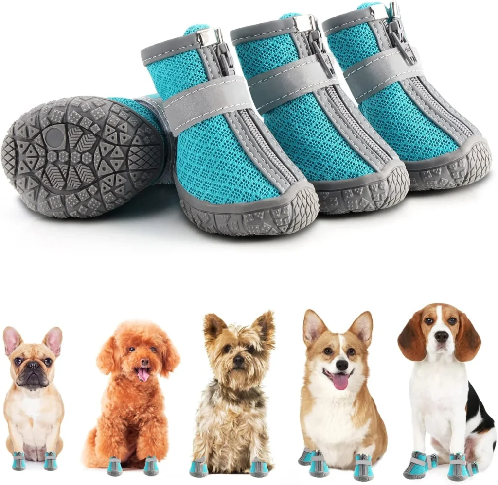 dog shoes