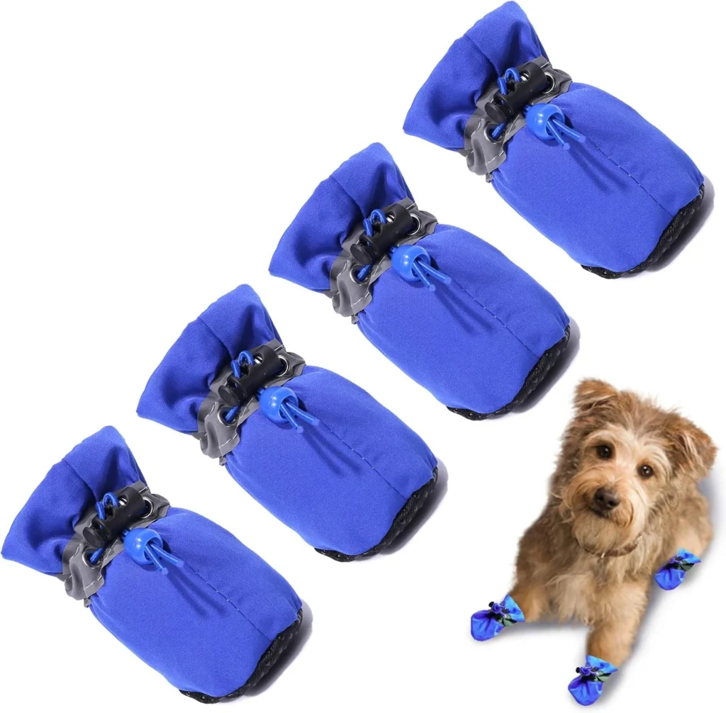 dog shoes